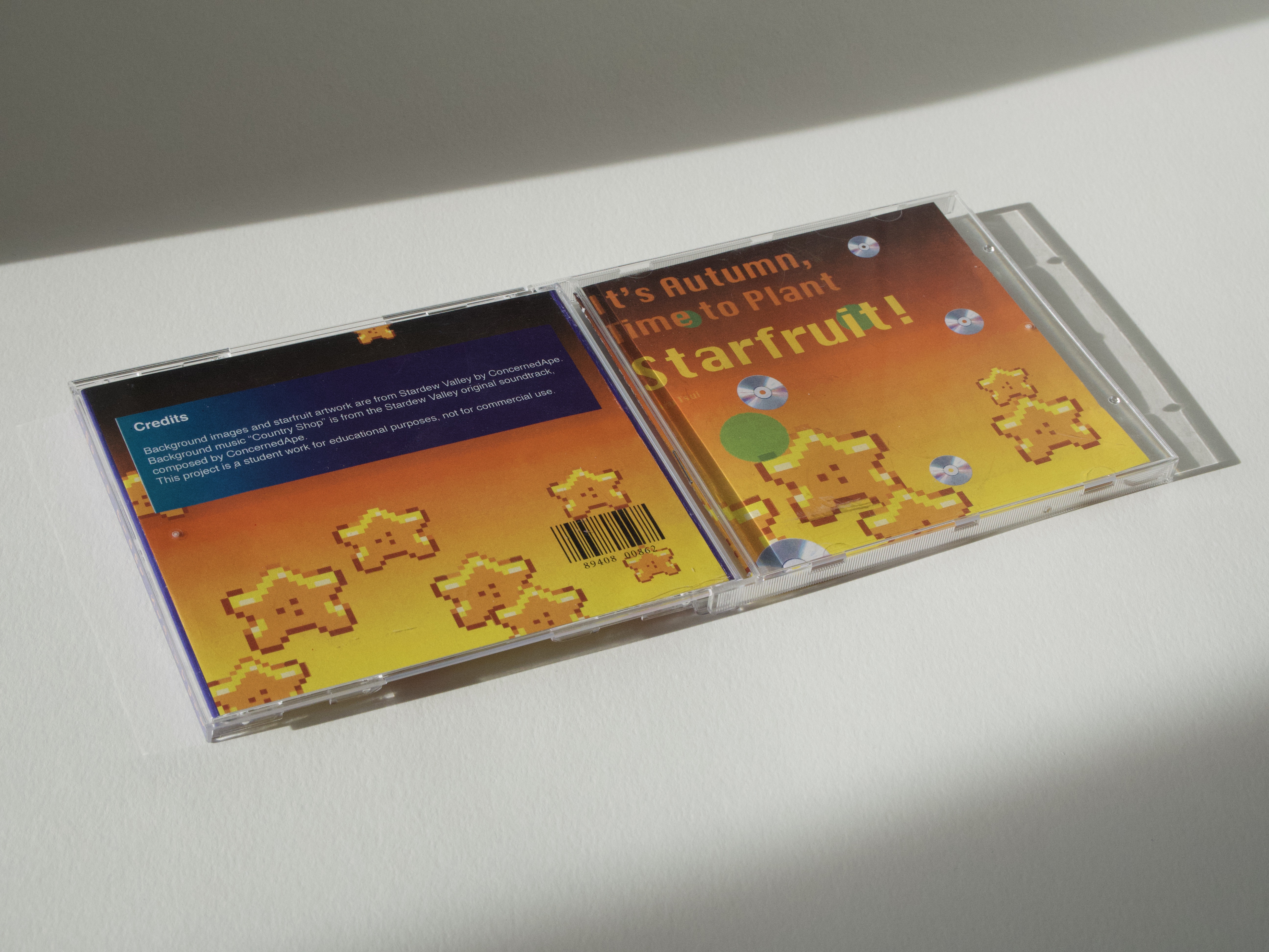 This is a CD mockup I designed for my coding game.