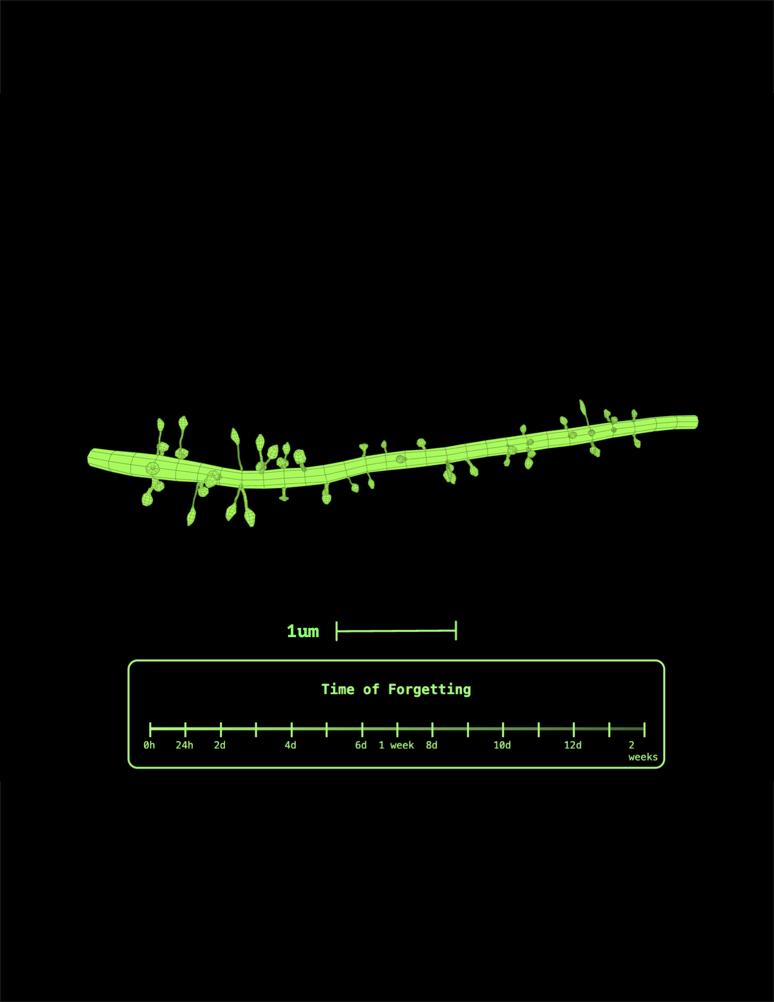 Memory fading sculpture