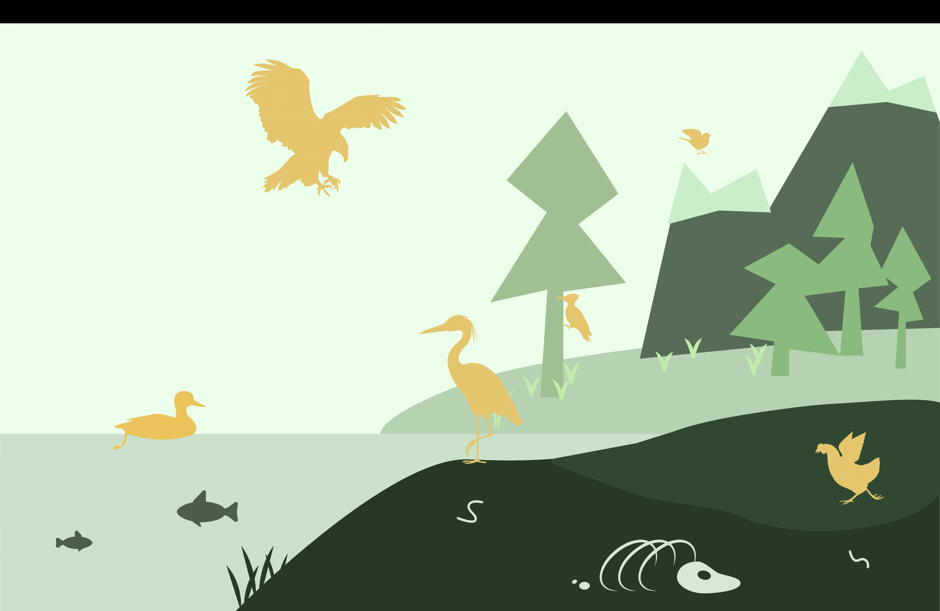 Homepage of Birds' Bones and Living Habits site