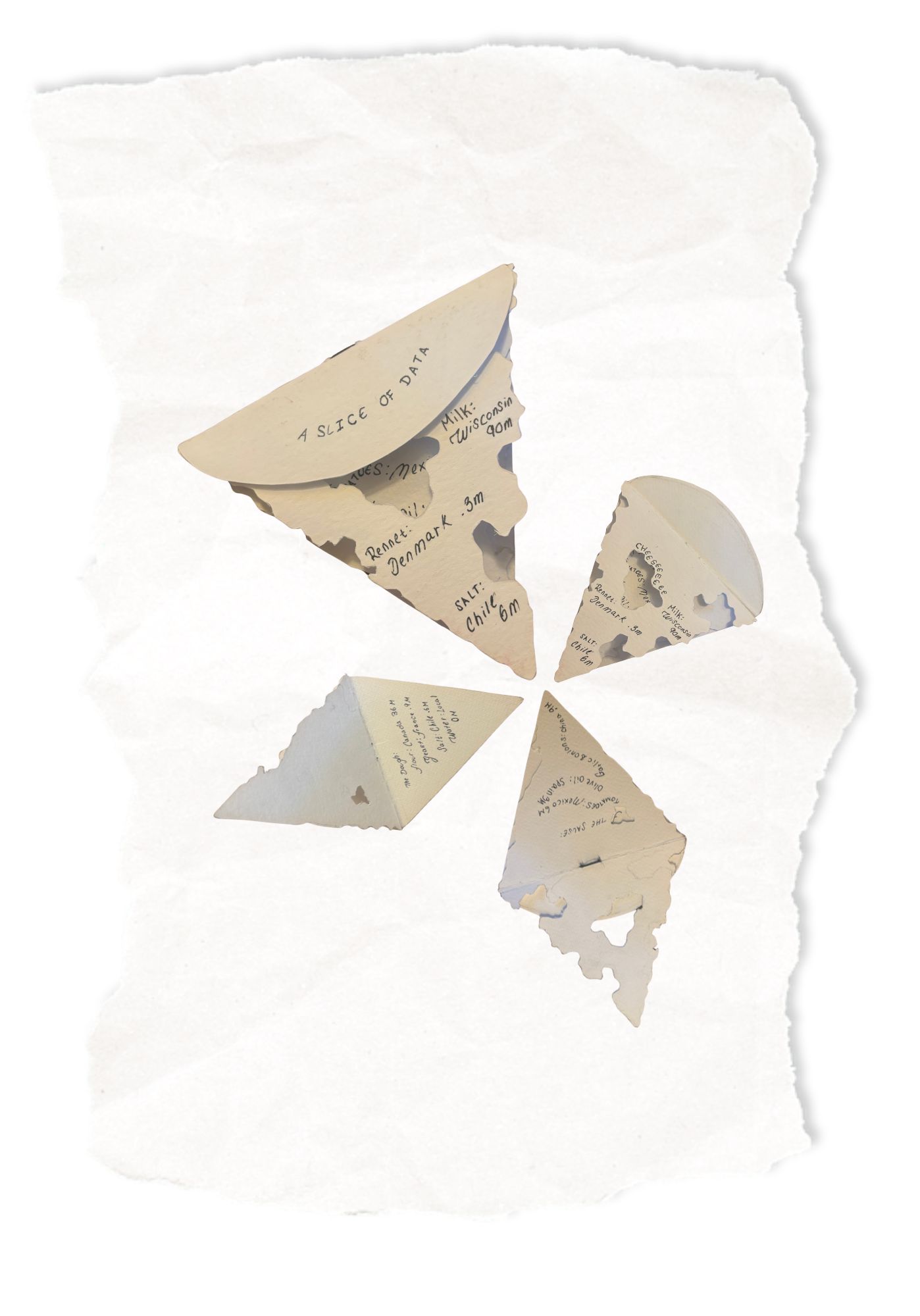 A Slice Of Data Book