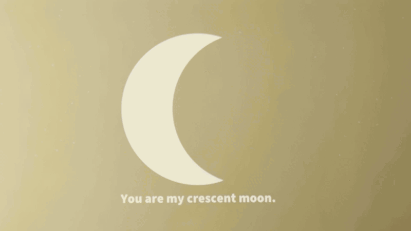 Interaction between audience and projecting the project