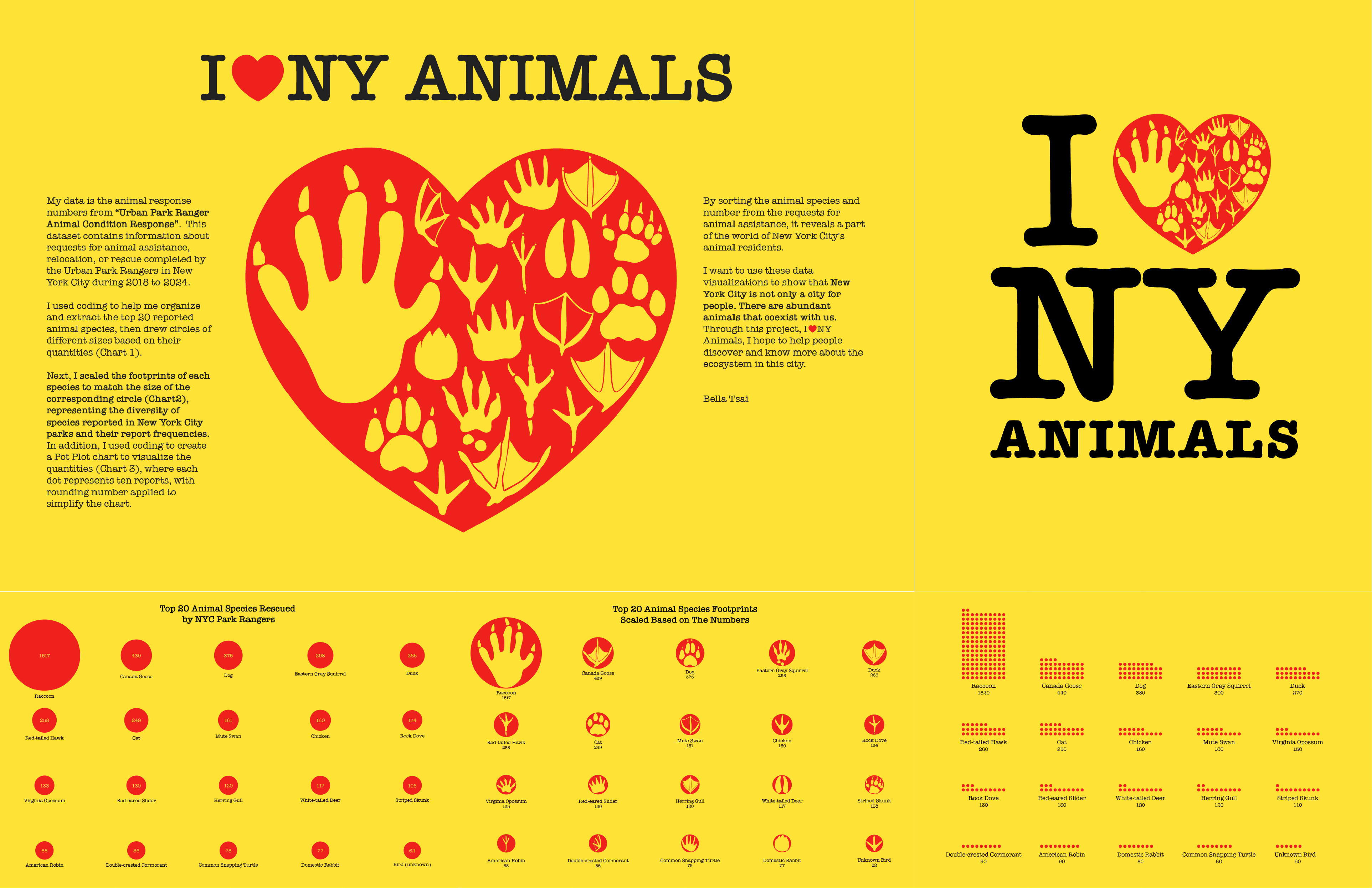Data Visualization Showcase