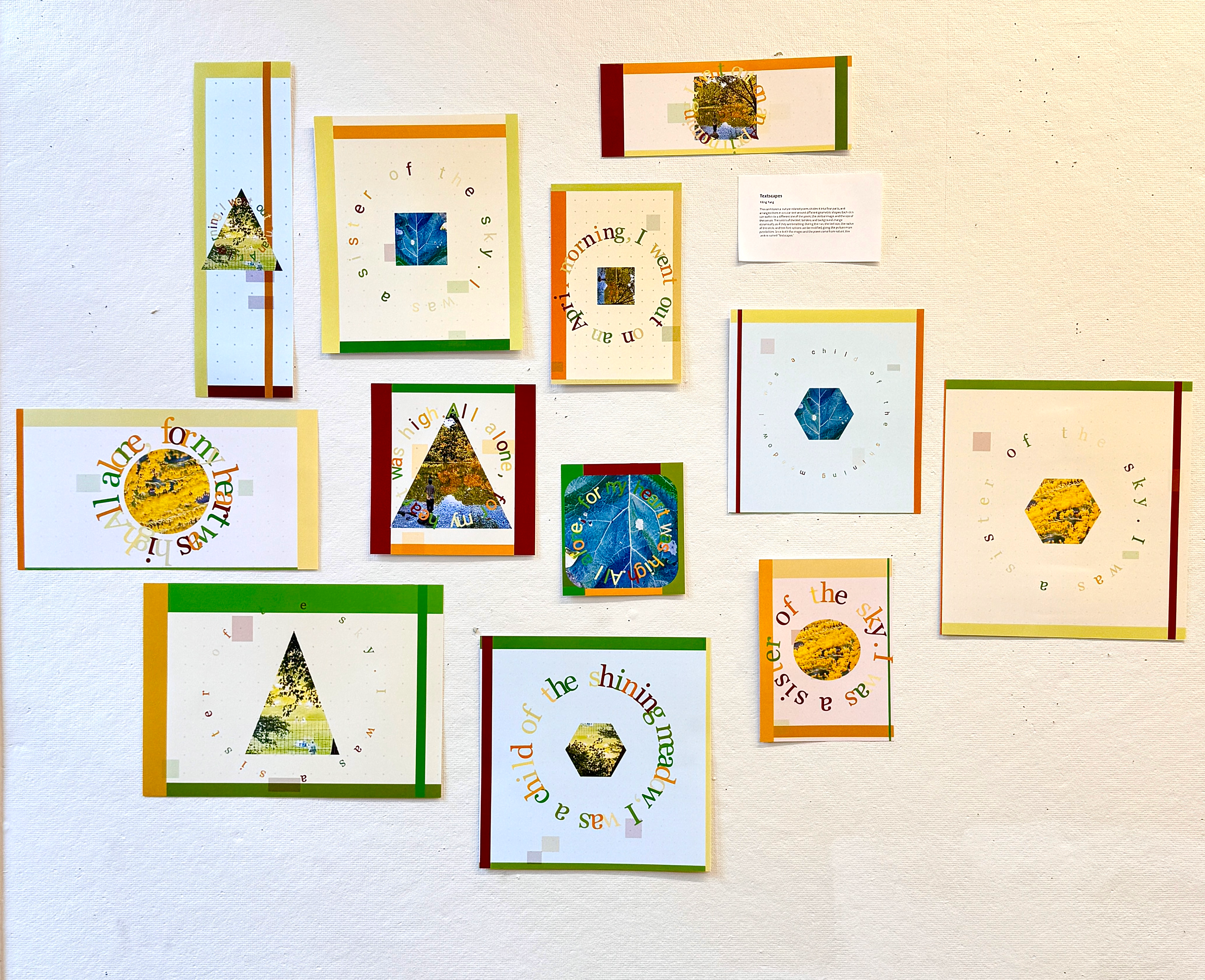 This series combines geometric shapes, natural imagery, and text, using circular typography to create a sense of visual rhythm. The varied shapes and colorful borders add depth to the overall composition, conveying a poetic visual experience.