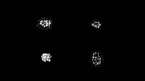 The visualization process of four types of liquid materials and neural conduction.