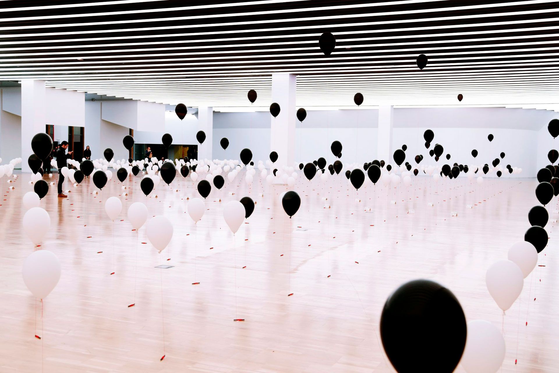 Sculptural data visualization for Module 1-5